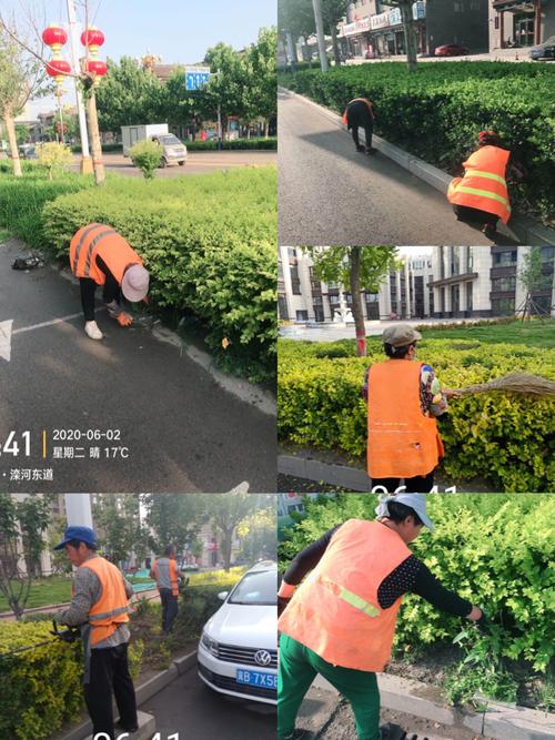 精细化绿化养护管理，全方位提升绿化养护服务质量