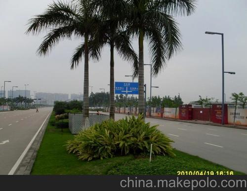 专业绿化养护服务 守护道路、小区、工厂、公园与广场的绿色生态